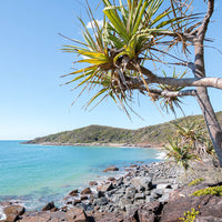Noosa Wall Art - Sunshine Coast Wall Art - Noosa National Park - Granite Bay Wall Art - Prints from Noosa - Noosa Wall Hangings - Noosa Beach Art - Noosa Beach Print - Noosa Photography - Noosa Photography