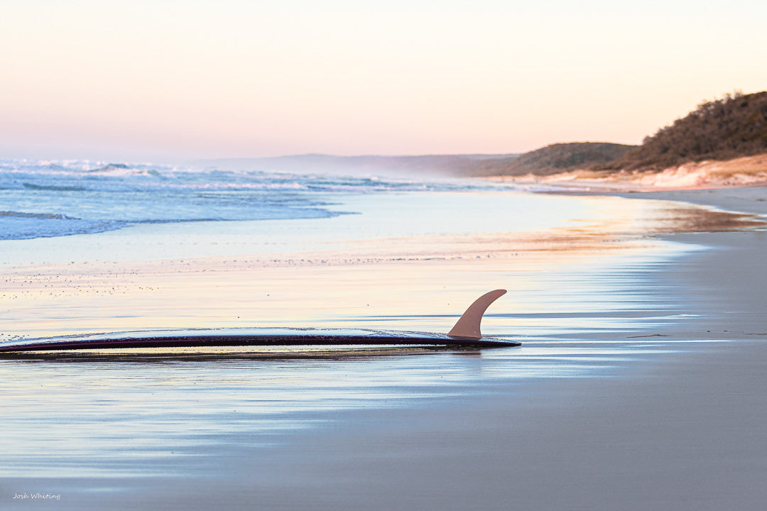 Surfboard Wall Art - Coastal Wall Art - Sunshine Coast Photography - Australian Landscape Photography - Photography Sunshine Coast - Wall Art Australia - Single Fin Wall Art - Single Fin Surfboard - Lifestyle Photography Prints