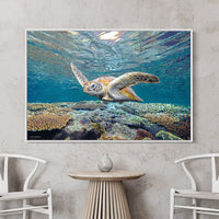 Sea Turtle Canvas Wall Art - Turtle Framed Pictures - Sea Turtle canvas art - Turtle Pictures for wall - Metal sea turtle wall art - large sea turtle wall art - 