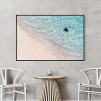 sea turtle - Ningaloo Reef Coral Coast WA - drone beach photography - black floating frame framed print - marine life wall art - buy framed prints online - Josh Whiting Photos