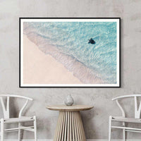 Baby sea turtle Ningaloo Reef Coral Coast WA - drone beach photography - black floating frame framed print - marine life wall art - buy framed prints online - Josh Whiting Photos