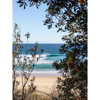 Original beach photography print, turquoise wave and banksia branches on the NSW South Coast, coastal wall art from Ulladulla