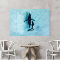 Ningaloo Reef whale aerial drone photography - humpback mother and calf - frameless acrylic print - premium large format ocean wildlife wall art - Western Australia photography - Josh Whiting Photos