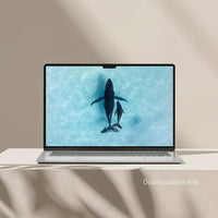 Humpback whale Ningaloo Reef - aerial whale photography digital download - printable ocean wildlife wall art - aqua coastal interior styling - contemporary home decor - buy prints online - diy art - digital download art - Josh Whiting Photos