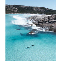Two dolphins Esperance Western Australia - aerial drone photography - Cape Le Grand coastline - crystal clear turquoise water - coastal ocean wildlife fine art photography - Josh Whiting Photos