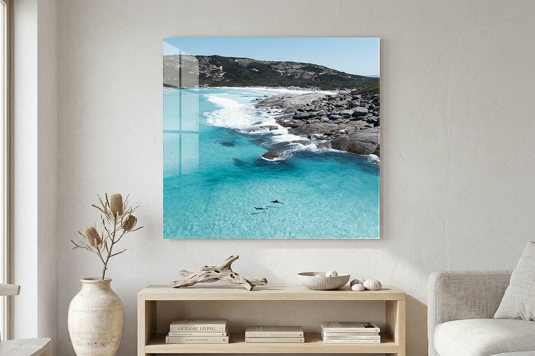 Dolphin Duo Esperance - aerial coastal photography acrylic print - coastal interior styling - contemporary living room wall art - Hamptons home decor - ocean wildlife photography - Josh Whiting Photos - coastal interiors - coastal interior design