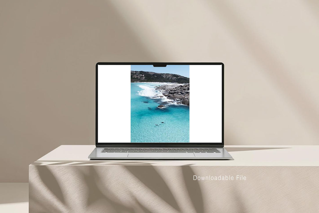 Dolphin Duo Esperance - two dolphins aerial coastal photography - high resolution digital download - printable wall art - coastal interior styling - contemporary home decor - Josh Whiting Photos