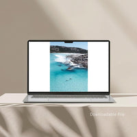 Dolphin Duo Esperance - two dolphins aerial coastal photography - high resolution digital download - printable wall art - coastal interior styling - contemporary home decor - Josh Whiting Photos