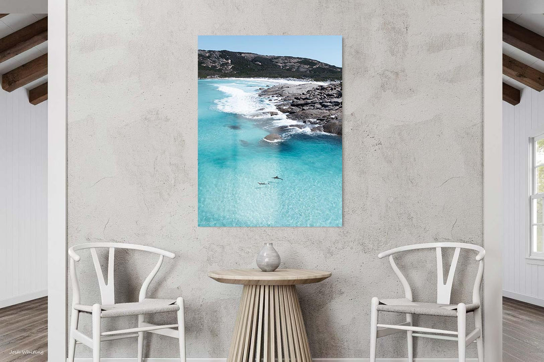 Esperance dolphin print - Western Australia photography - aerial drone photography - frameless acrylic print - premium portrait coastal wall art - fine art ocean photography print - Josh Whiting Photos