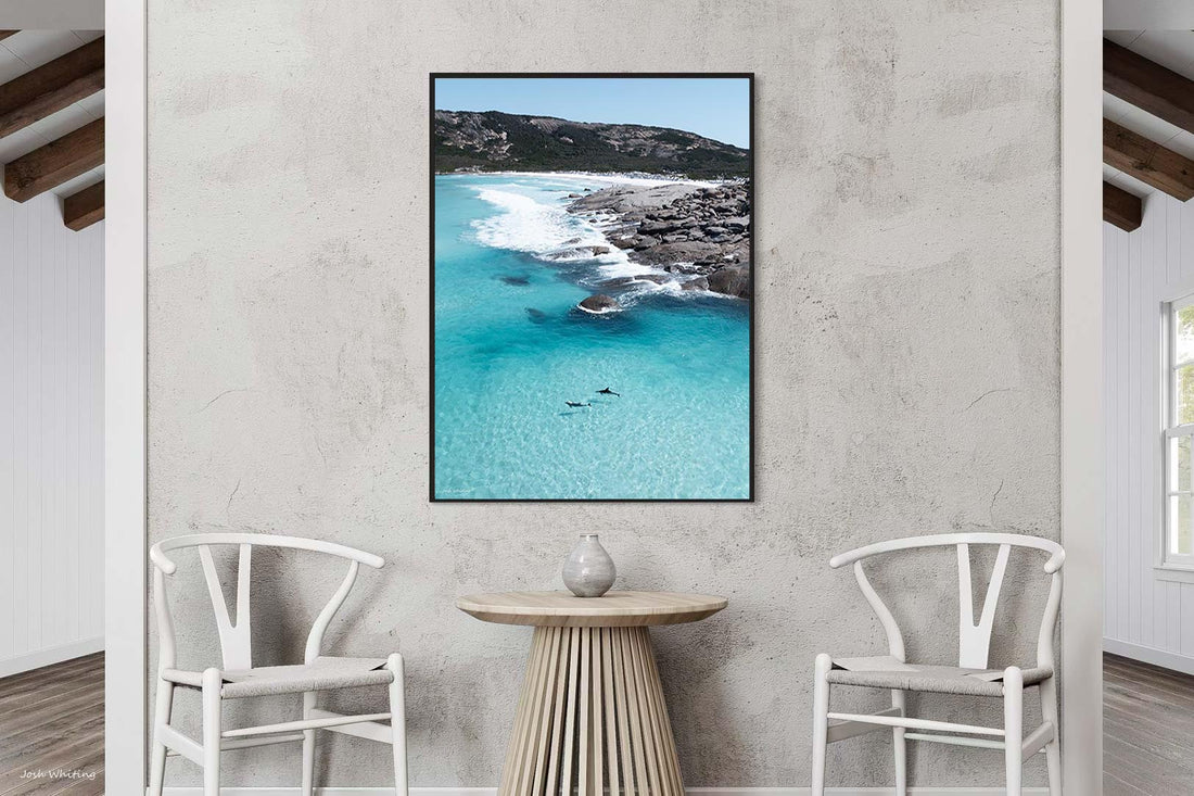 Esperance Cape Le Grand Western Australia - aerial dolphin photography - black floating frame canvas print - extra large coastal wall art - ocean wildlife print - Josh Whiting Photos