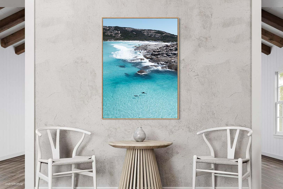 Dolphin Duo Esperance WA - two dolphins aerial beach photography - oak floating frame canvas print - large format portrait wall art - Australian wildlife photography - Josh Whiting Photos