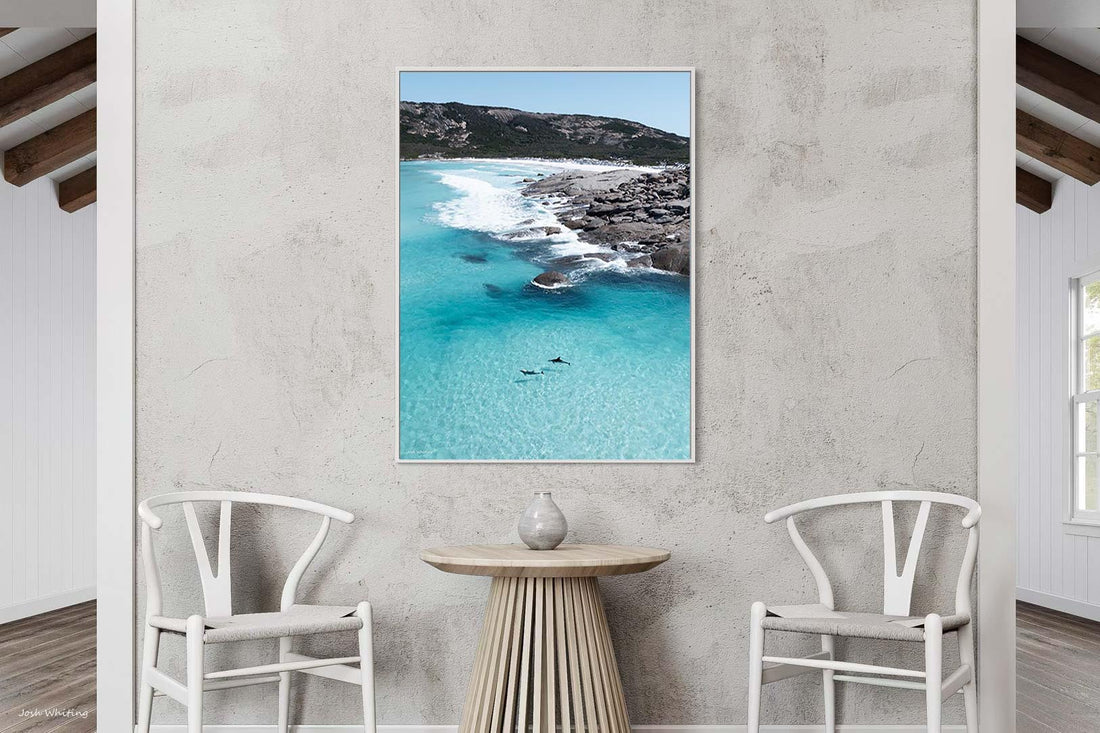 Esperance Western Australia dolphin photography - white floating frame canvas print - portrait coastal wall art - ocean wildlife fine art print - buy canvas prints online - Josh Whiting Photos