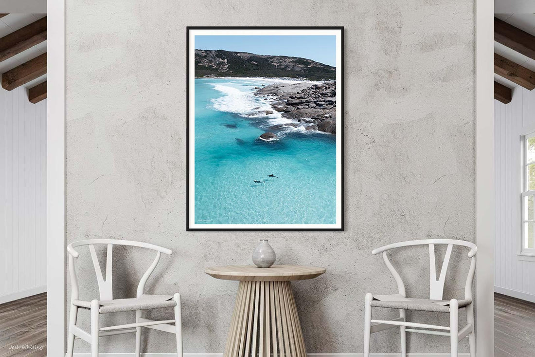 Two dolphins Esperance WA - Cape Le Grand coastline aerial photography - black framed print - extra large portrait wall art - coastal wildlife photography - Josh Whiting Photos