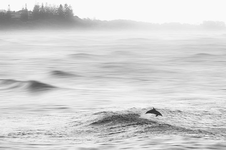 Black and white photography - Abstract canvas wall art -  Australian landscape wall art - Australian Photography Prints - Black and white wall prints 