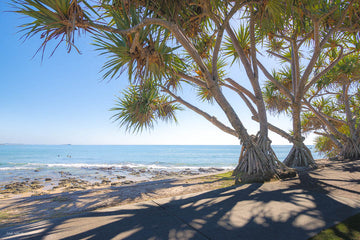 Alexandra Headland image - Sunshine Coast Photos - Josh Whiting Photos - framed canvas art - Order prints online - acrylic photo prints - beach photo art - tropical wall art