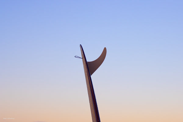 Single Fin - Malibu - Surfboard Wall Art - Minimal Wall Art - Surfboard Print - Surf Art - Coastal Wall Art - Surfboard Wall Art - Sunshine Coast Photography - Photographer Sunshine Coast