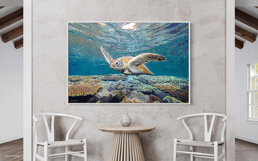 Sea Turtle Canvas Wall Art - Turtle Framed Pictures - Sea Turtle canvas art - Turtle Pictures for wall - Metal sea turtle wall art - large sea turtle wall art - 