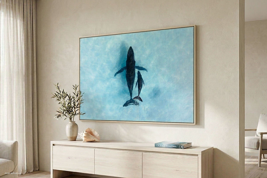 Humpback whale mother and calf Ningaloo Reef - aerial drone photography - oak floating frame canvas print - extra large coastal wall art - luxury coastal living room - ocean wildlife fine art print - Josh Whiting Photos