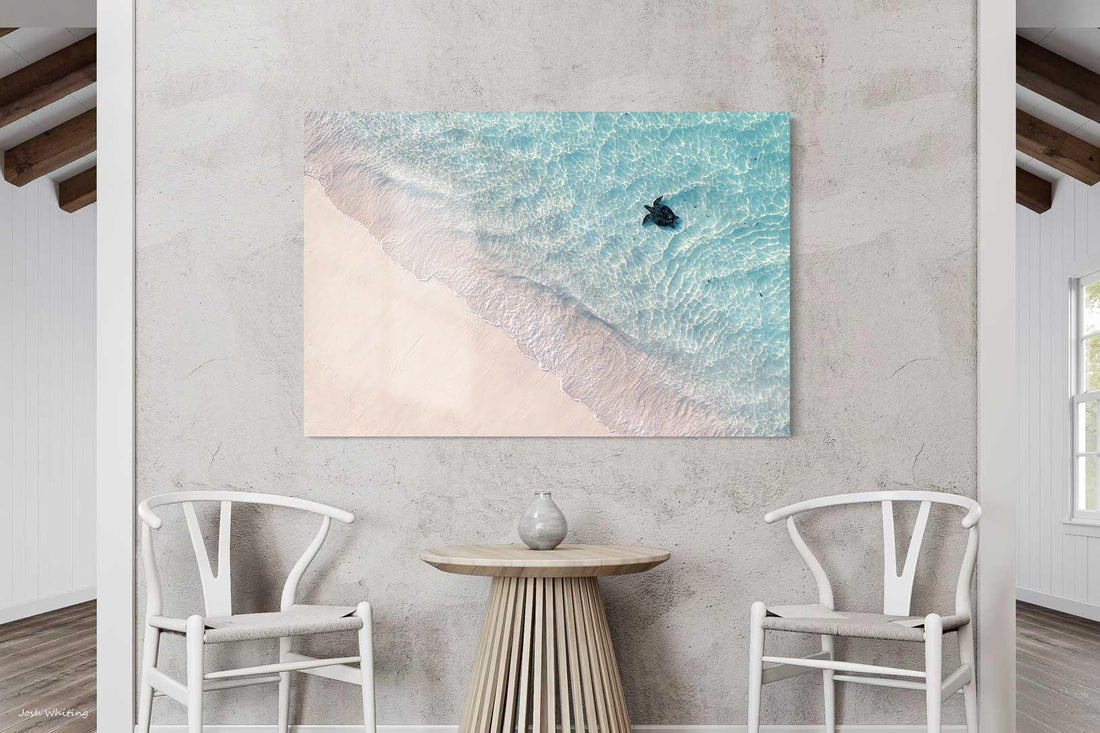 Ningaloo Reef sea turtle - UNESCO World Heritage marine photography - frameless acrylic print - premium large format wall art - soft neutral coastal photography print - Josh Whiting Photos