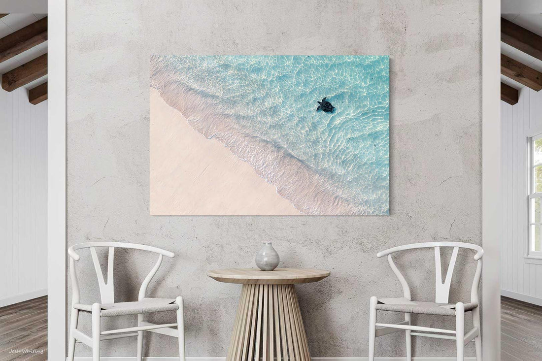 sea turtle Turquoise Bay Exmouth - Ningaloo Reef Coral Coast - gallery wrap canvas print - large format coastal wall art - nature photography print - buy canvas prints online - Josh Whiting Photos