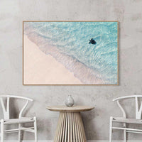 Ningaloo Reef Coral Coast aerial sea turtle photography - oak floating frame canvas print - extra large wall art - gallery wall - ocean wildlife photography print - biophilic wall art - Josh Whiting Photos