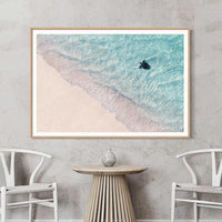 Ningaloo Reef Exmouth Western Australia - aerial sea turtle photography - oak  framed print - extra large coastal wall art - nature photography print - archival fine art print - Josh Whiting Photos