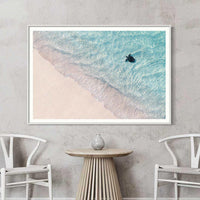 Turtle Paradise Ningaloo Reef - baby sea turtle aerial photography - white framed print - coastal wall art - ocean wildlife fine art print - Josh Whiting Photos