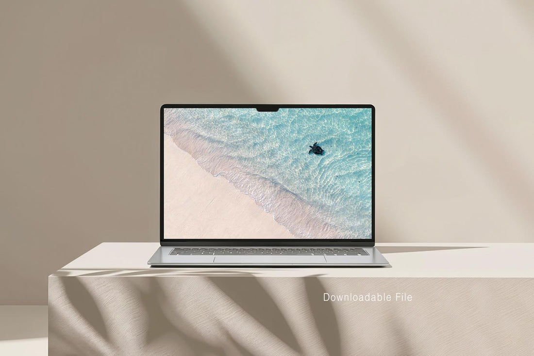 sea turtle Ningaloo Reef - Coral Coast Western Australia aerial photography - high resolution digital download - printable coastal wall art - affordable sea turtle print - buy prints online - Josh Whiting Photos