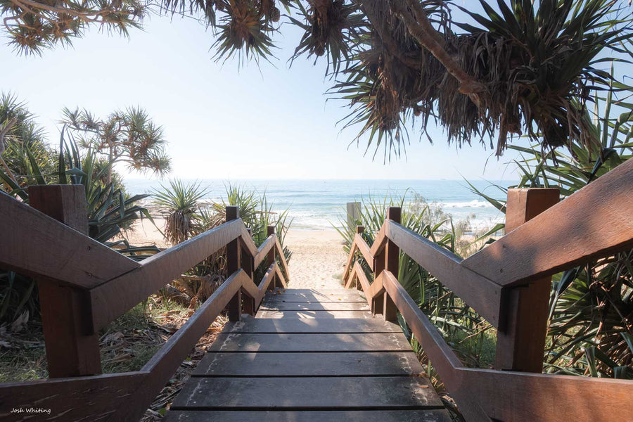 Sunshine Coast beach staircase photography - pandanus trees timber boardwalk - beach access coastal Queensland - wide angle fine art photography print - beach decor - Josh Whiting Photos