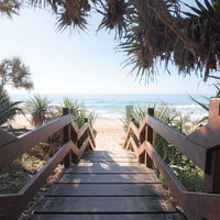 Sunshine Coast beach staircase photography - pandanus trees timber boardwalk - beach access coastal Queensland - wide angle fine art photography print - beach decor - Josh Whiting Photos