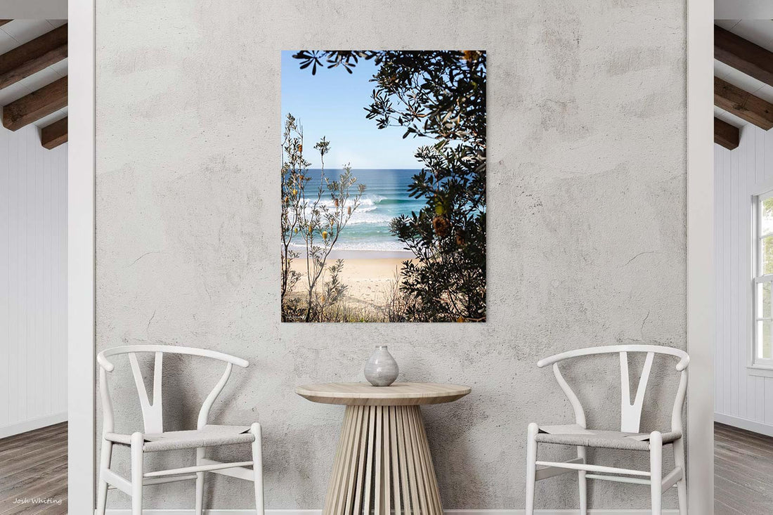 Acrylic beach photography print, glossy coastal wall art of a turquoise wave and banksia trees at Ulladulla, NSW