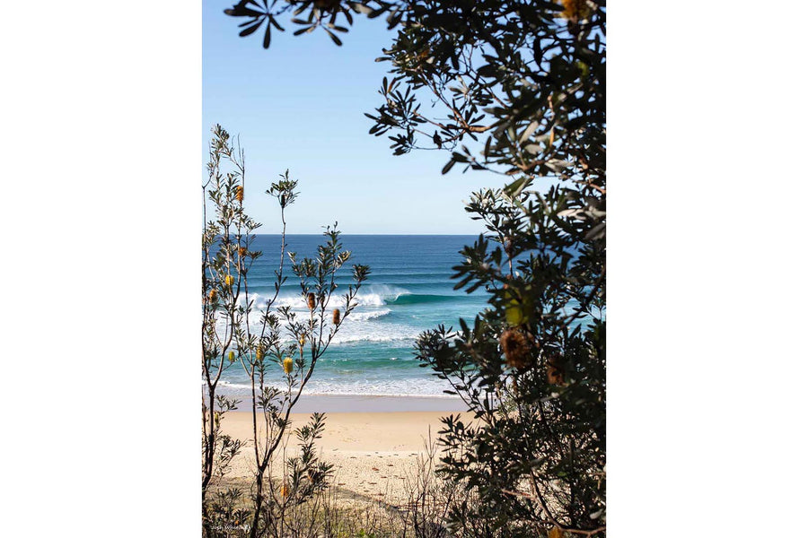 Original beach photography print, turquoise wave and banksia branches on the NSW South Coast, coastal wall art from Ulladulla