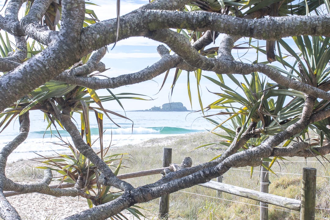 Mudjimba - Pandanus wave - Sunshine Coast Ocean art - Josh Whiting Photos