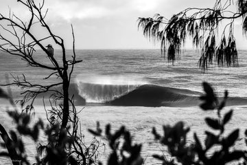 Sunshine Coast Photography - Ocean Prints - Straya! - Josh Whiting Photos