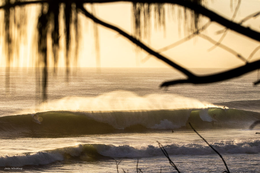 Sunshine Coast Artwork - Ocean Prints - Early Bird - Josh Whiting Photos - QLD - Australia