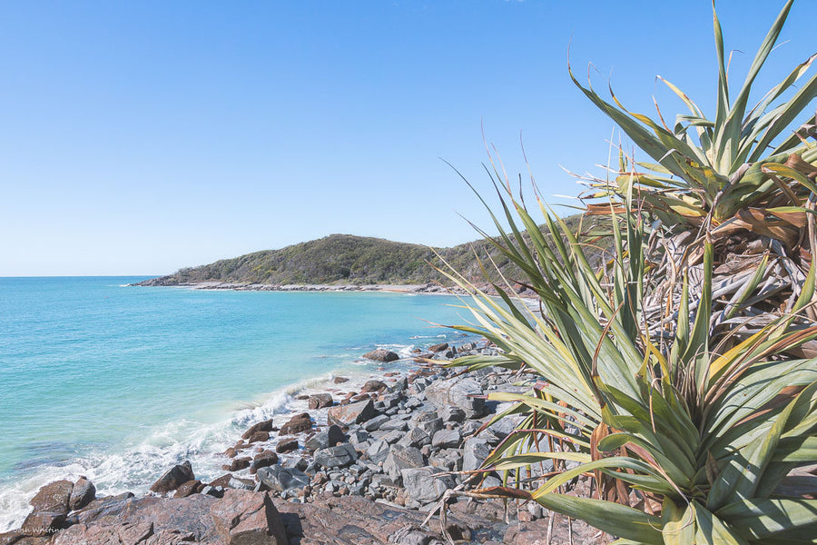 Noosa Photography Print - Noosa National Park - Granite Bay Photography Print