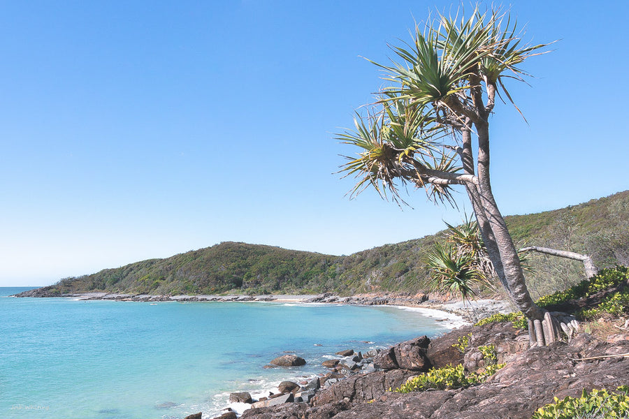 Noosa Beach Photography Print - Noosa Wall Art - Local Noosa Images