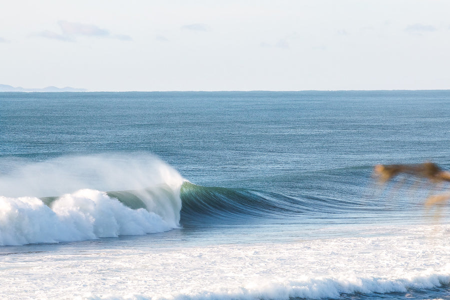 Pumping surf on the Sunshine Coast. Sunshine Coast Surfing - Sunshine Coast Artwork - Photography prints - Josh Whiting Photos