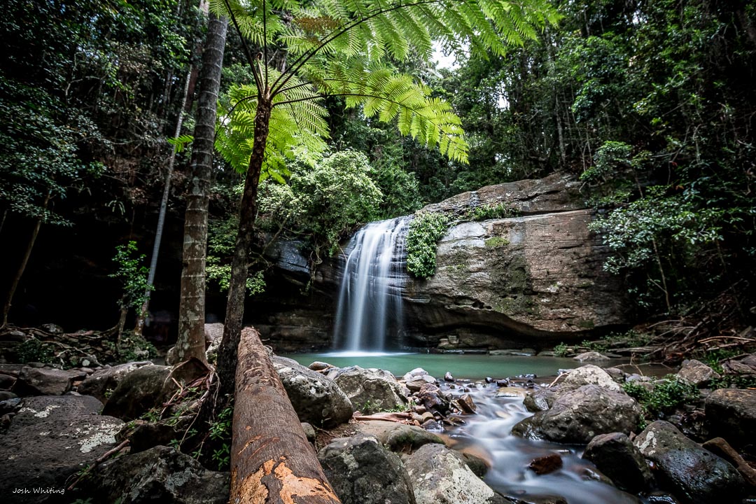 Sunshine Coast Photos - Landscape Prints - Buderim Waterfall