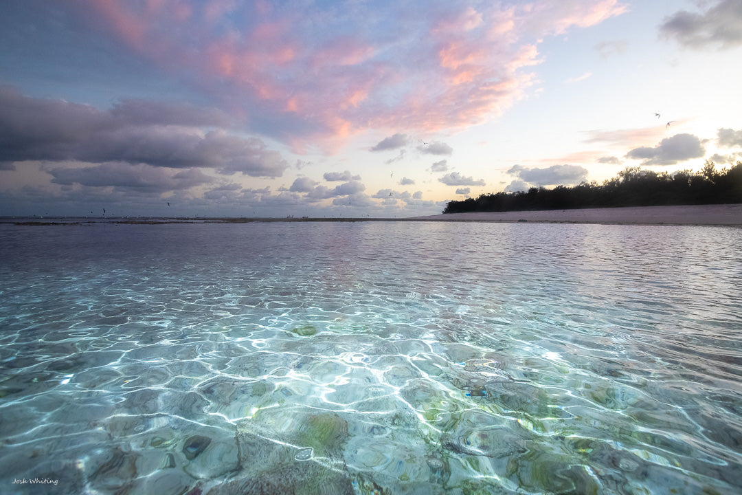 Great Barrier Reef Photography Prints - Sunrise shots - Pastel Colours - Josh Whiting Photos