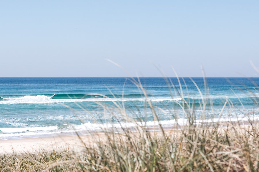 Sunshine Coast Décor - Surf Prints - Offshore Delight | Peregian Beach - Josh Whiting Photos